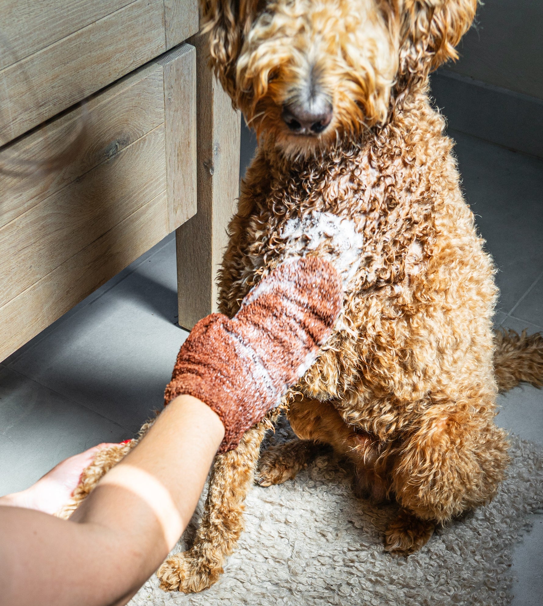 5 tips om de vacht van jouw hond optimaal te verzorgen - Bobba Bars