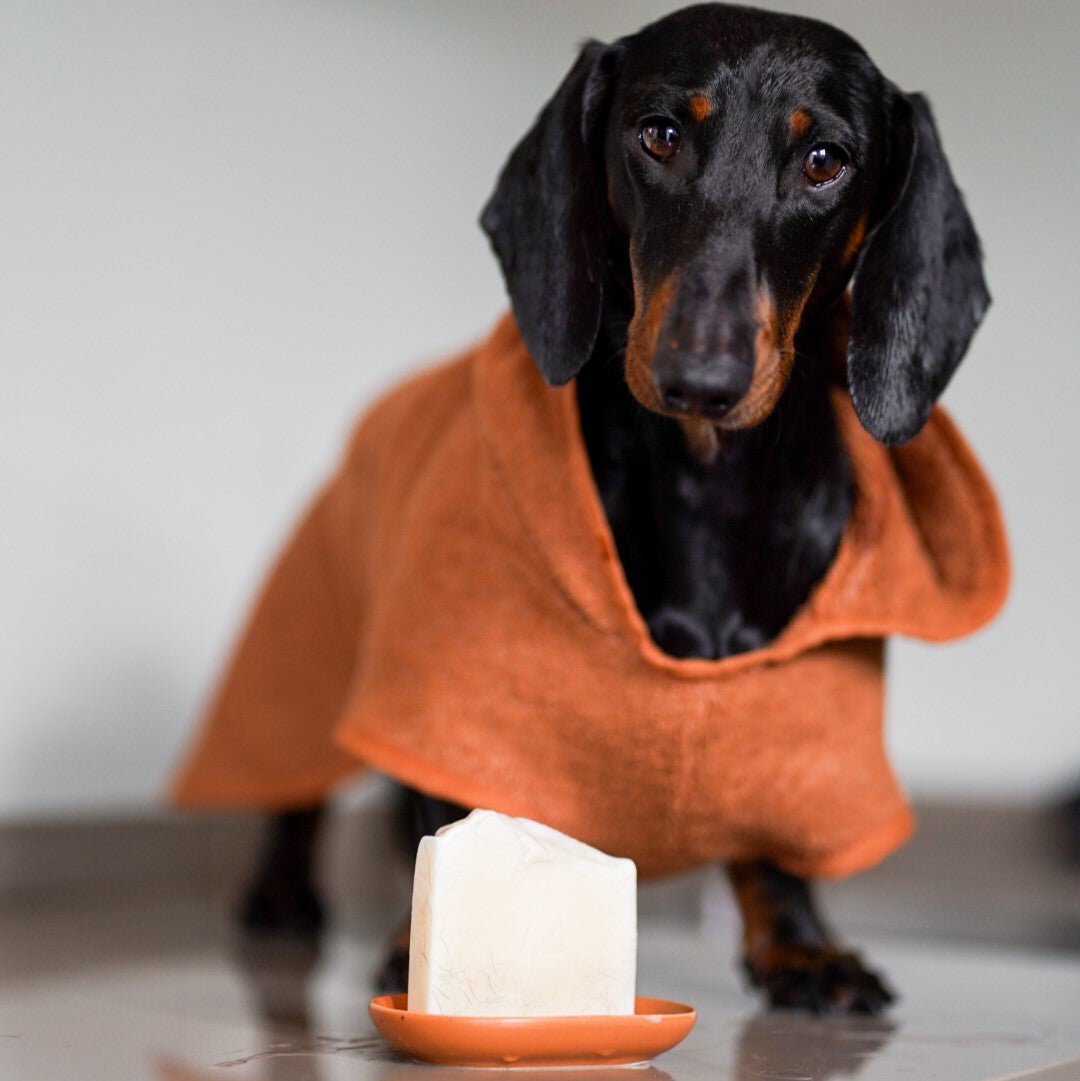 Waarom een honden badjas?