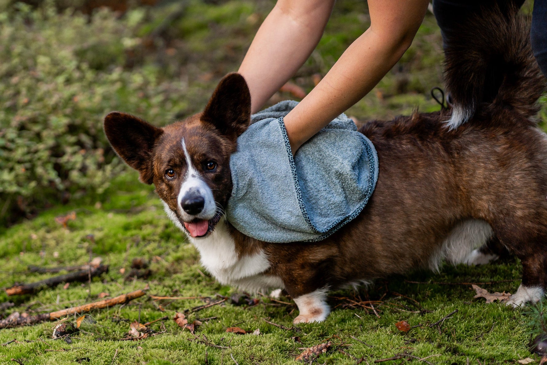 Tips voor een gezonde vacht in de lente