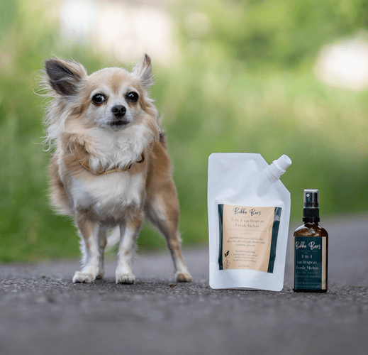 Natuurlijk middel tegen jeuk hond