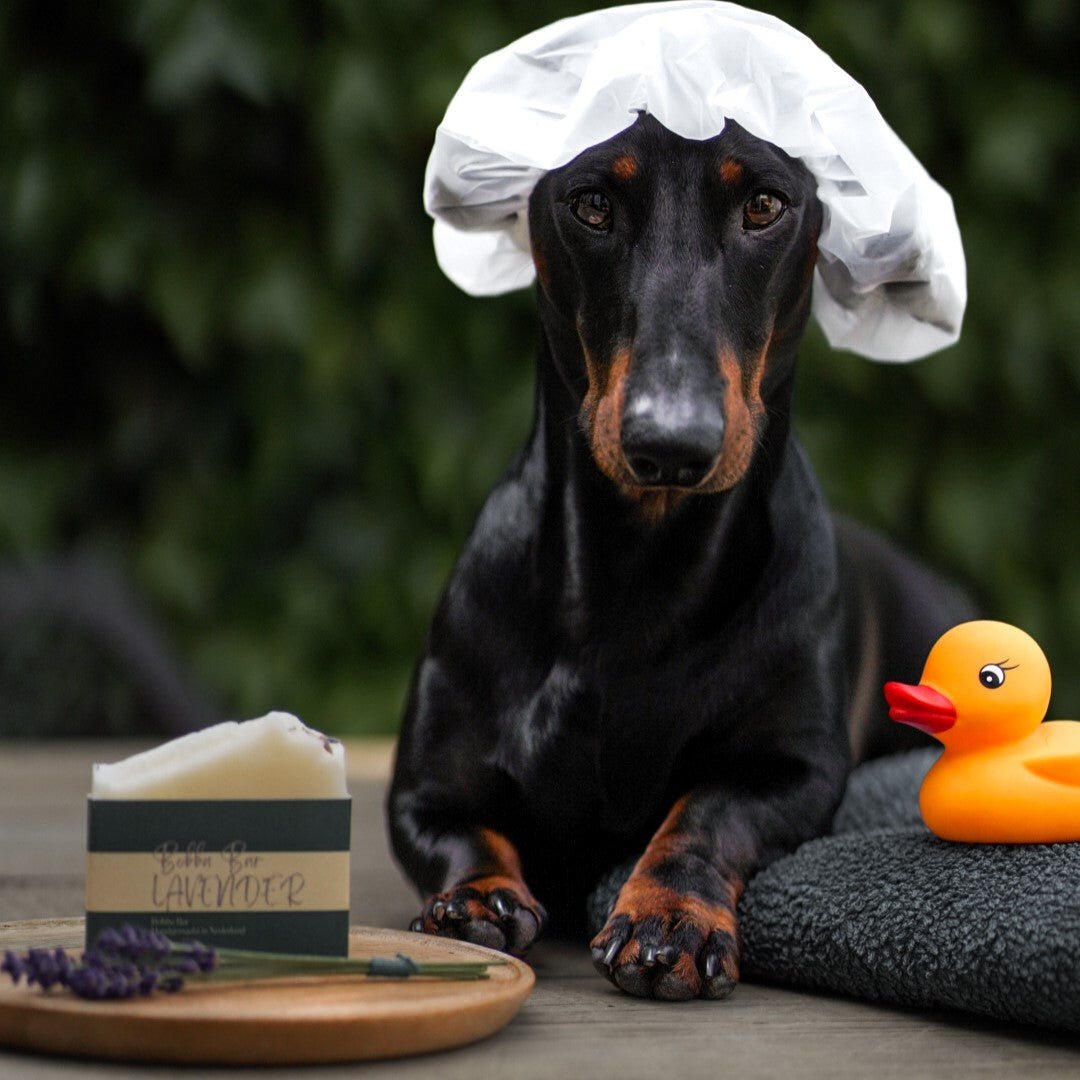 Hoe was ik mijn hond? - Bobba Bars
