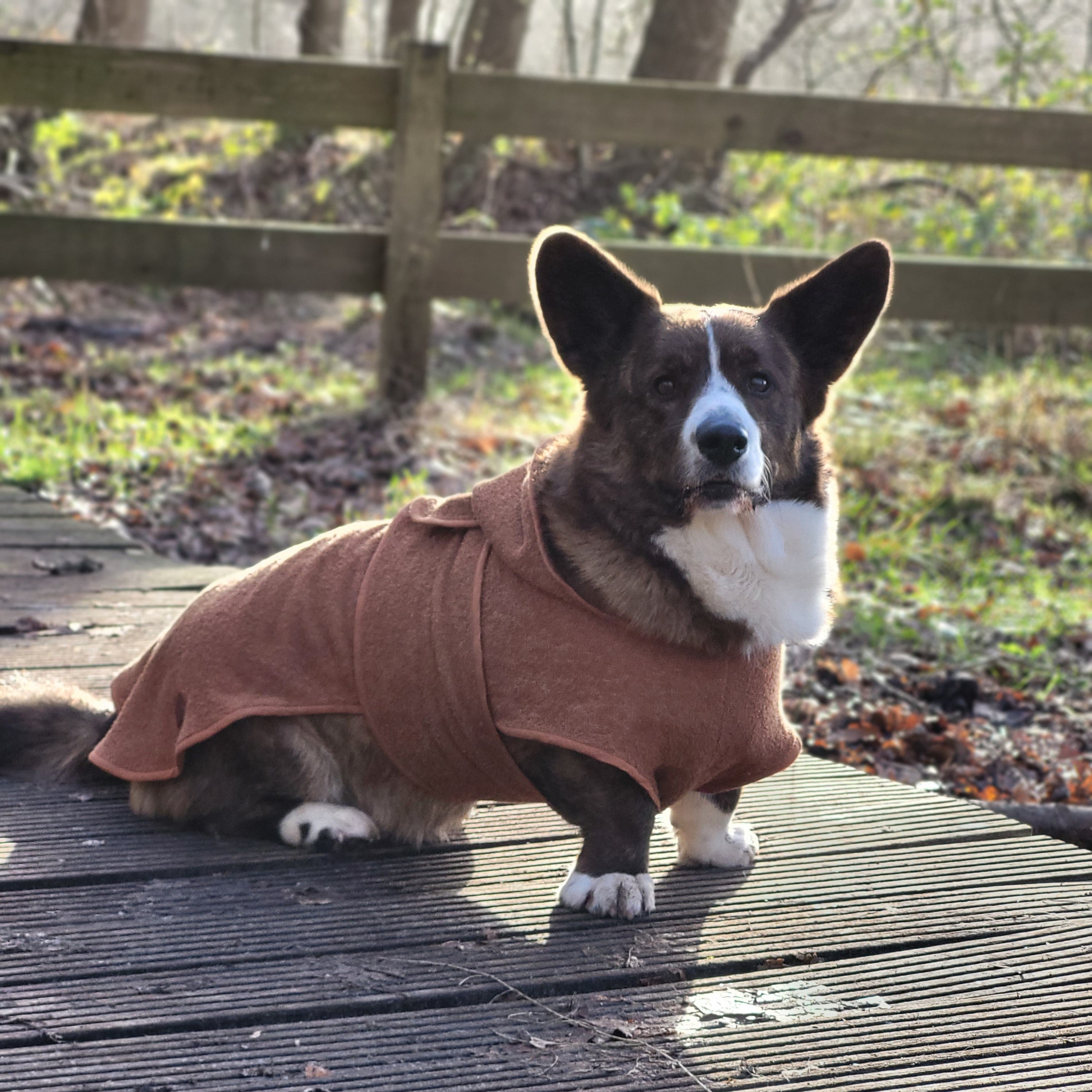 Nieuw: badjassen van RAWR Pets - Bobba Bars