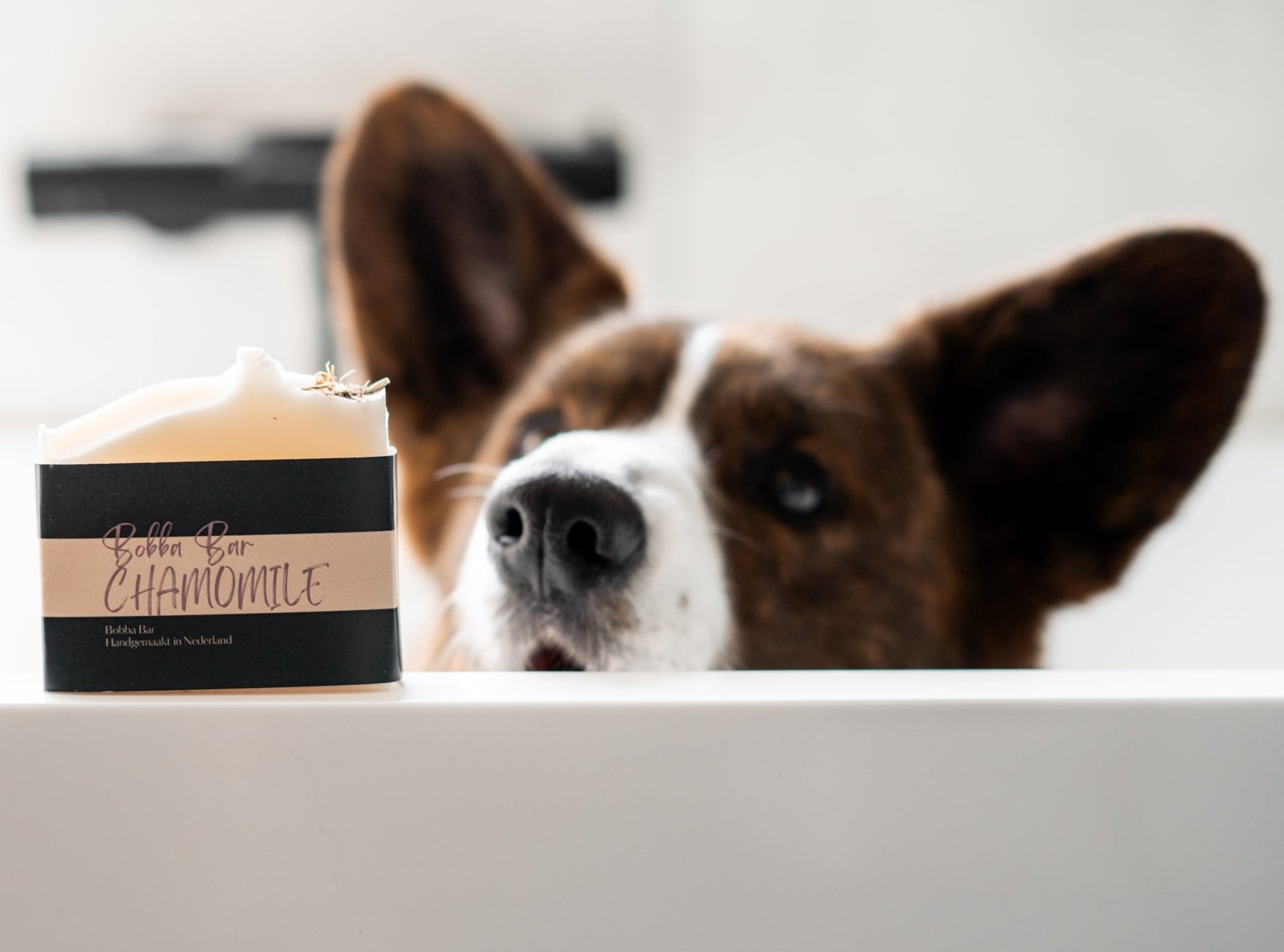 Wat is de beste manier om je hond te wassen? - Bobba Bars